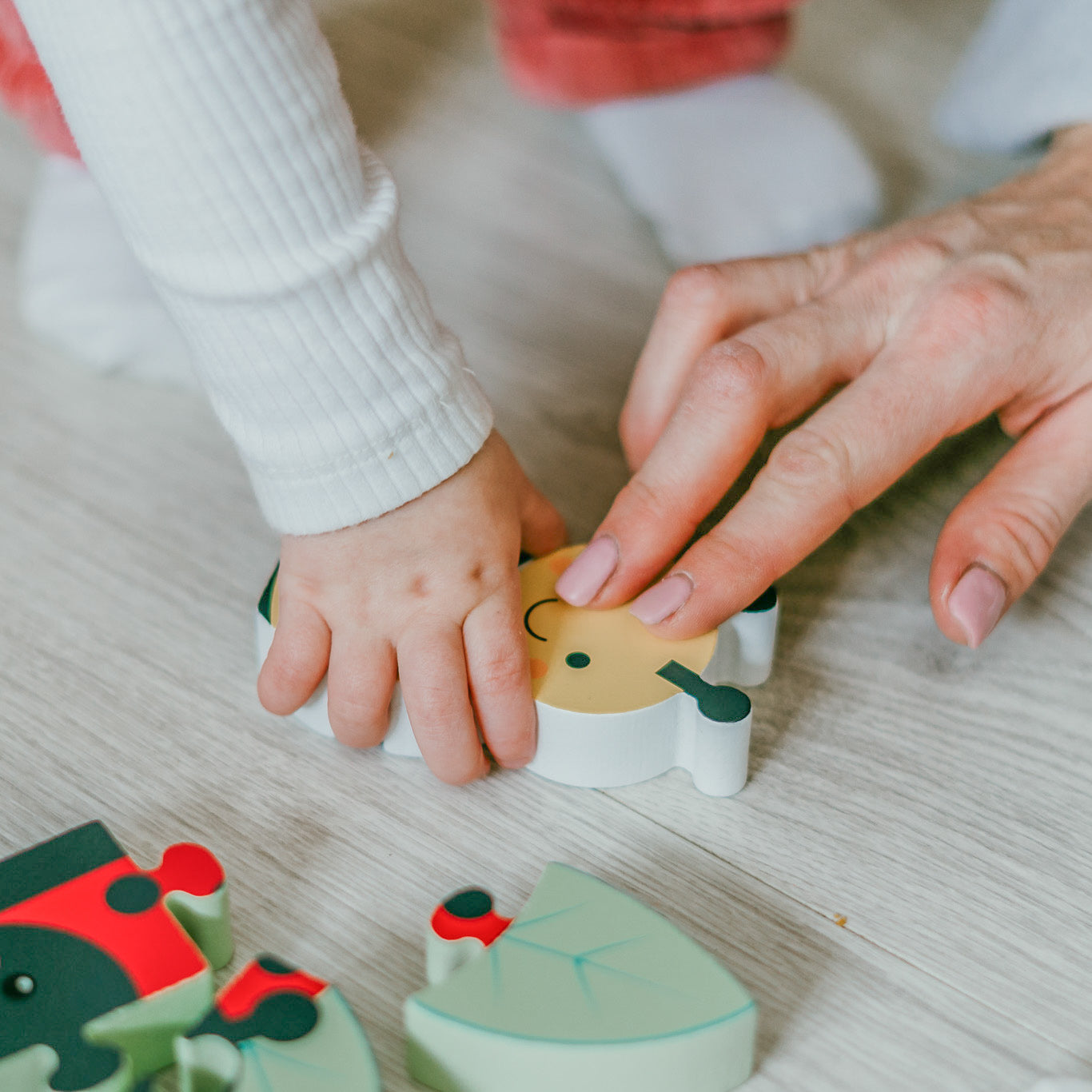 My First Wooden Puzzle
