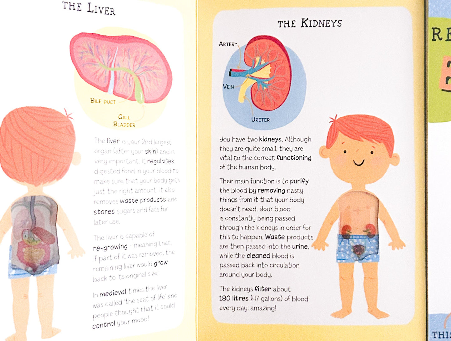 Educational book page about the human body with illustrations of internal organs and a child's body.