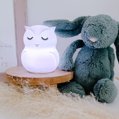 Albert The Light Up Owl