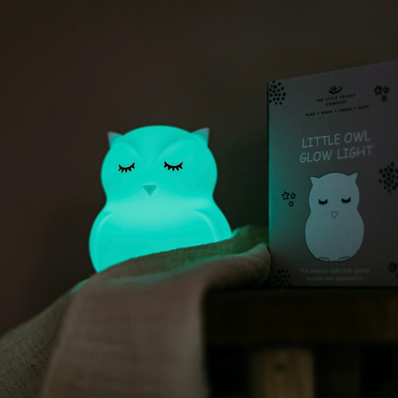 Albert The Light Up Owl