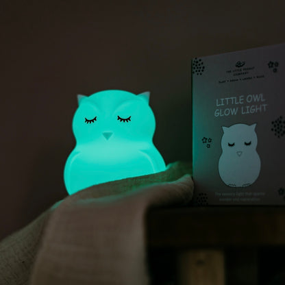 Albert The Light Up Owl