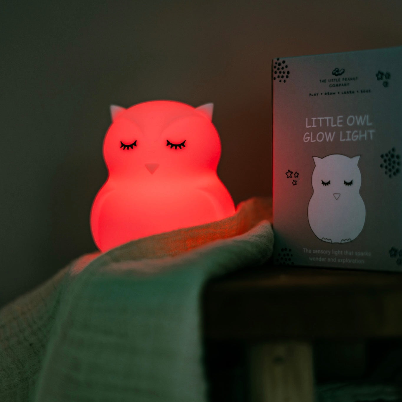 Albert The Light Up Owl