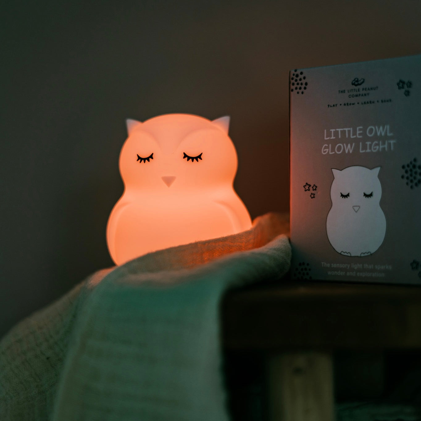 Albert The Light Up Owl