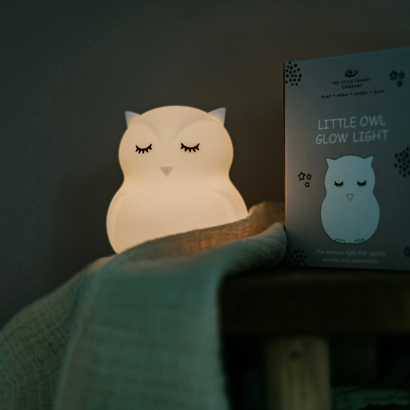 Albert The Light Up Owl