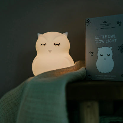 Albert The Light Up Owl