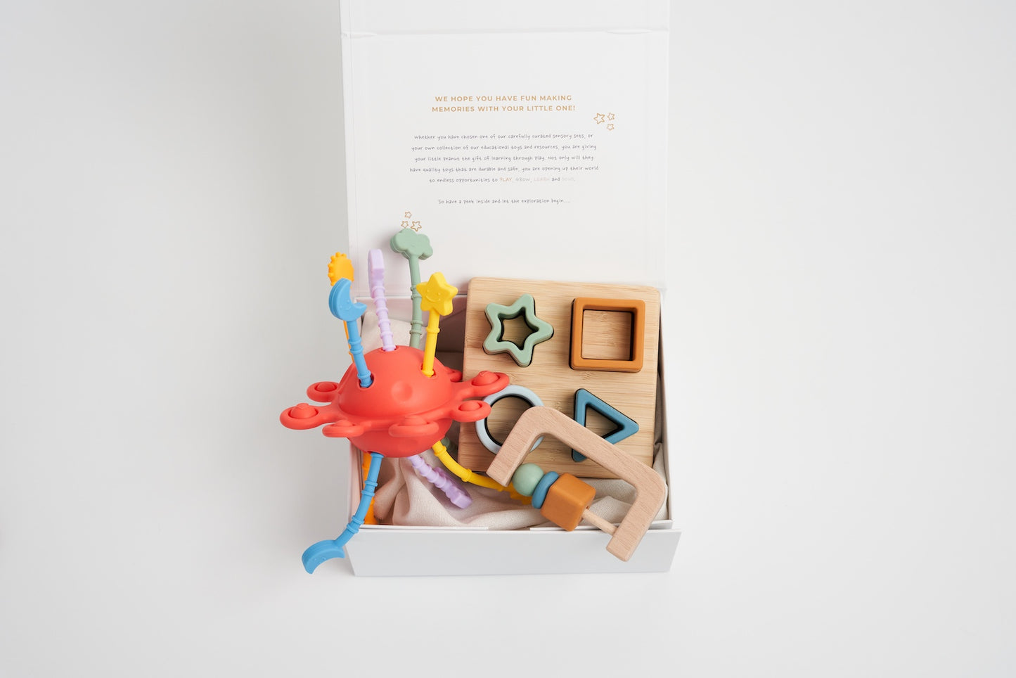 Beautiful Beginnings Play Set - Earth