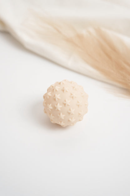 The Ultimate Discovery Bundle - Newborn Edition