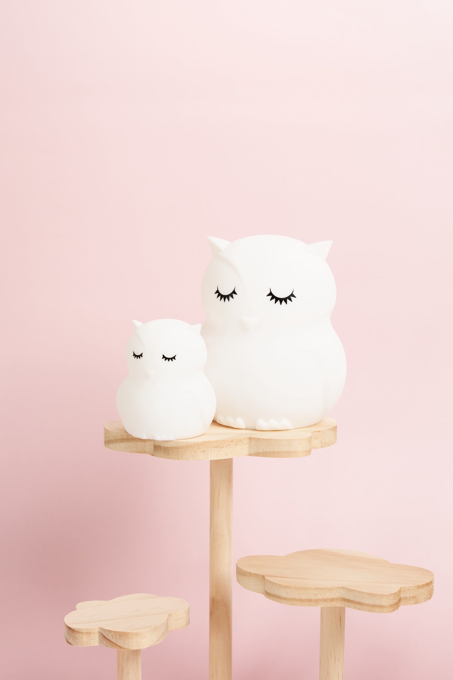 Isla the Little Night Owl