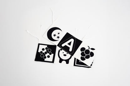 The Ultimate Discovery Bundle - Newborn Edition