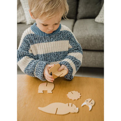 Dinosaur 3D Model Kit